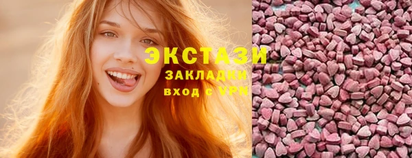 индика Новодвинск