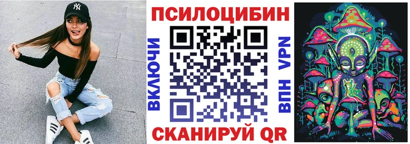 Псилоцибиновые грибы Psilocybine cubensis  Азнакаево 